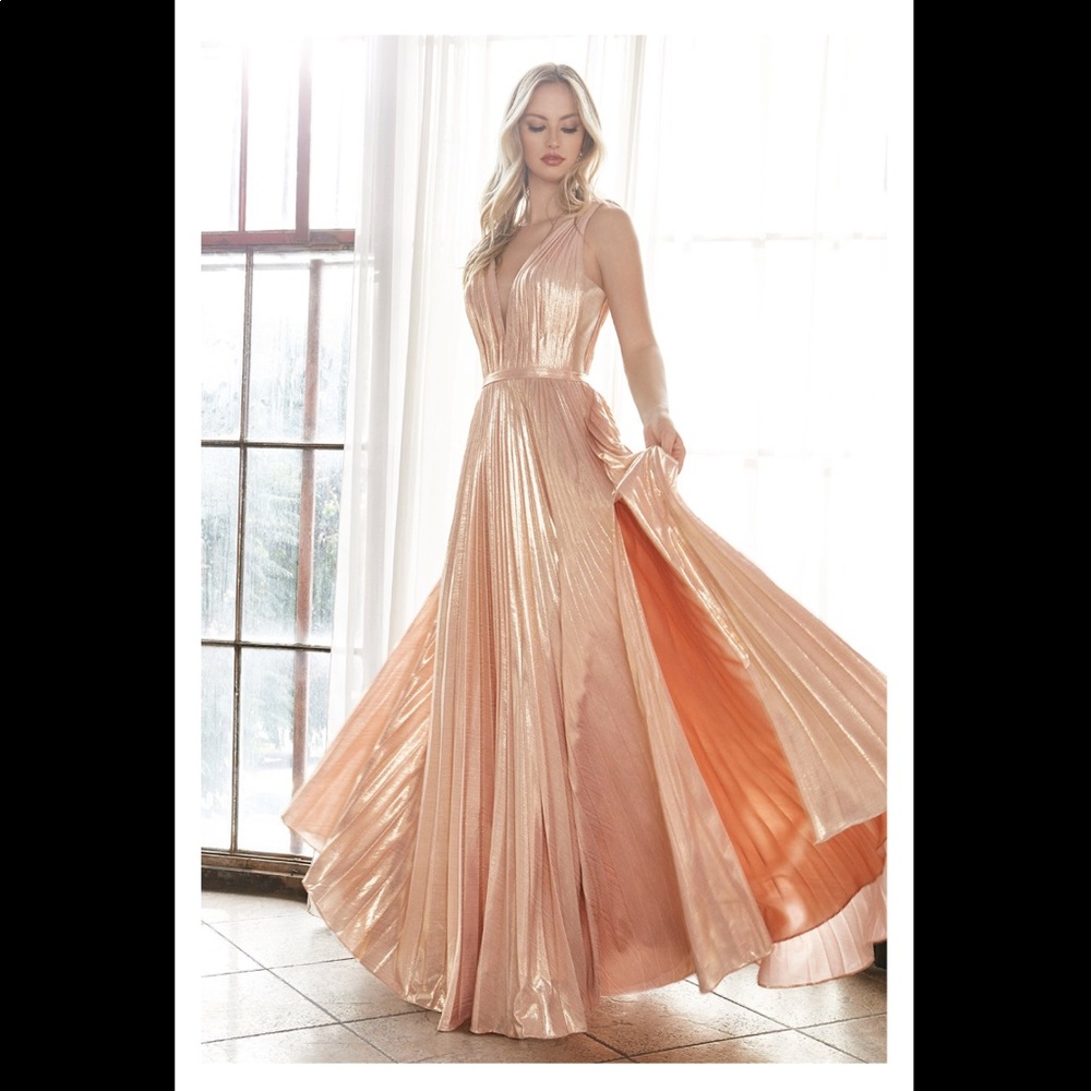 Cinderella Divine pleated gown